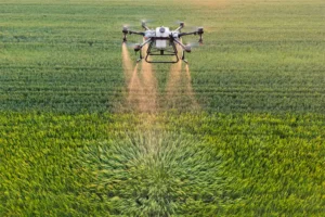 drone spraying in agriculture field